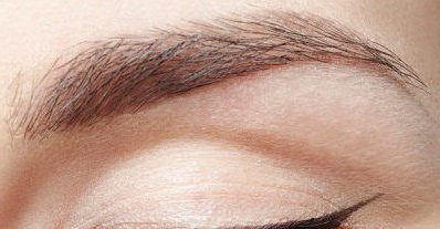 greffe de sourcils