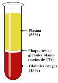 plasma riche en plaquettes